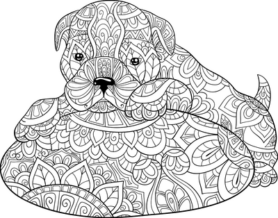 Dog 22