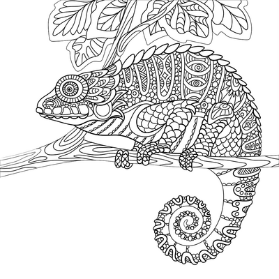 Chameleon