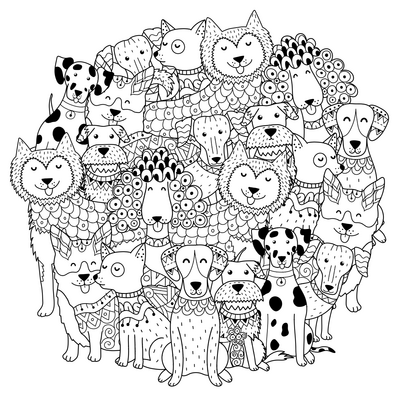 Flock 01