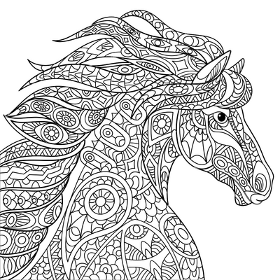 Horse