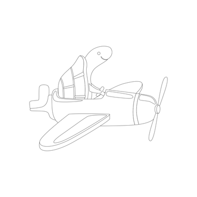Turtle plane