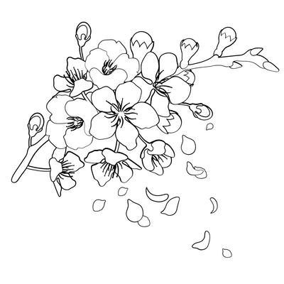 Branch flowers