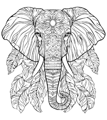 Elephant 02
