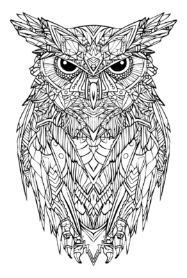 Owl