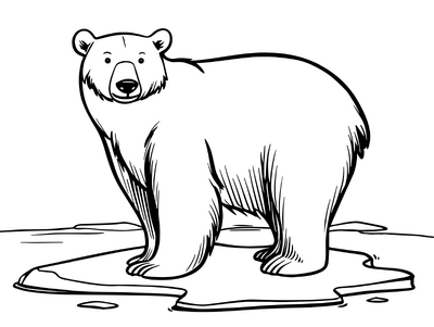 Ice Bear