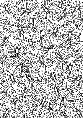Butterfly Pattern