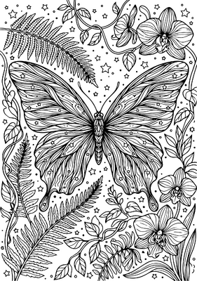 Butterfly With Plants