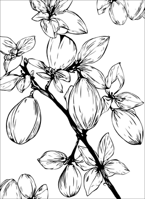Flowers 02