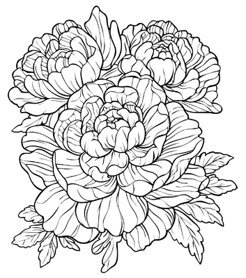 Flowers 08