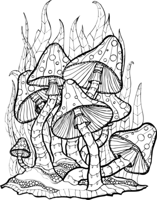 Mushrooms